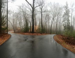A road diverging in a foggy woods.